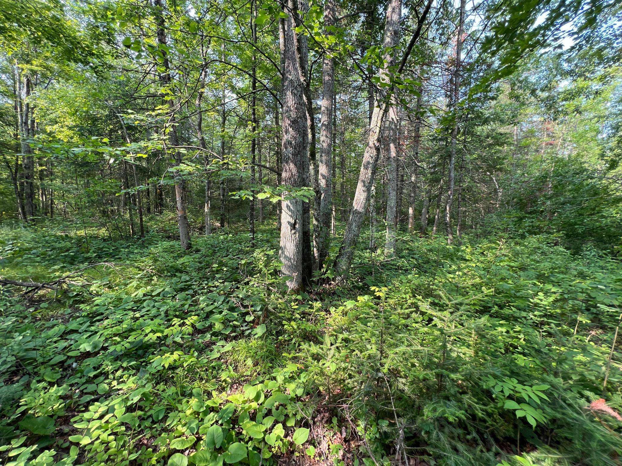 W8804 Timber TRL, Ladysmith, WI 54848