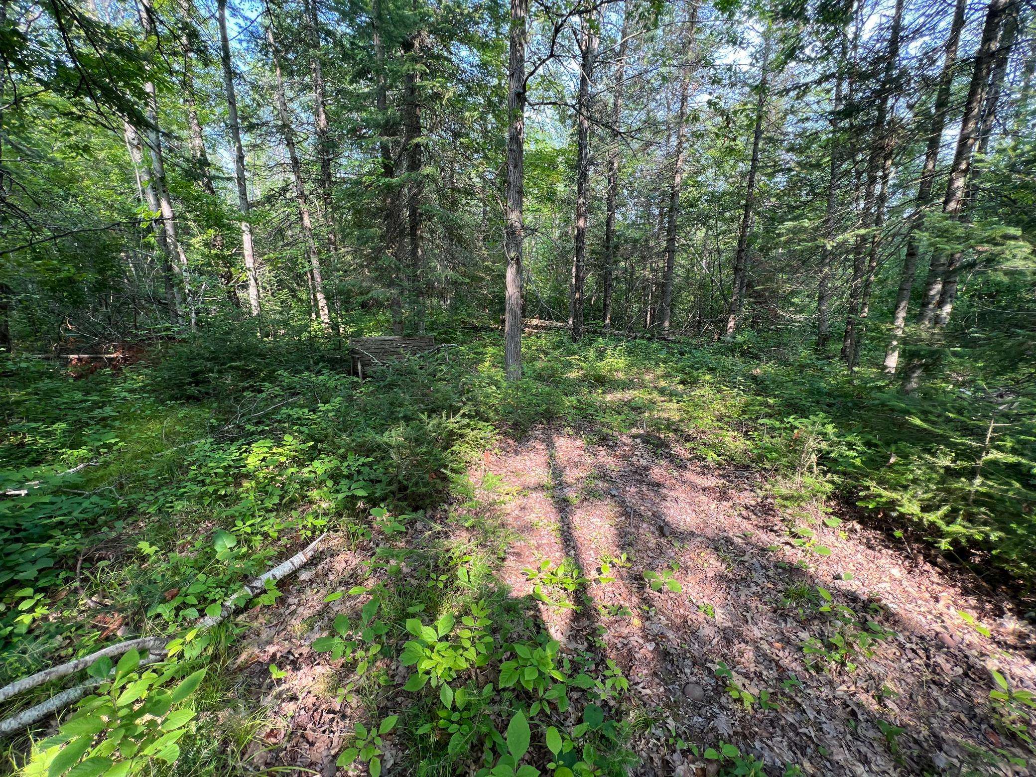 W8804 Timber TRL, Ladysmith, WI 54848