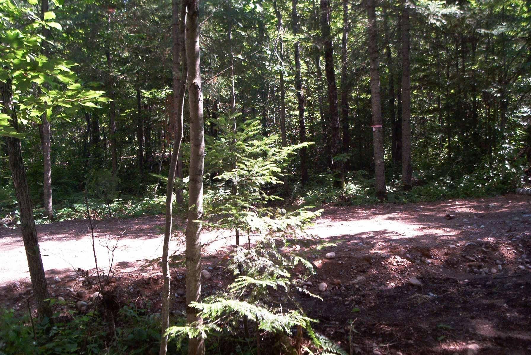 W8804 Timber TRL, Ladysmith, WI 54848