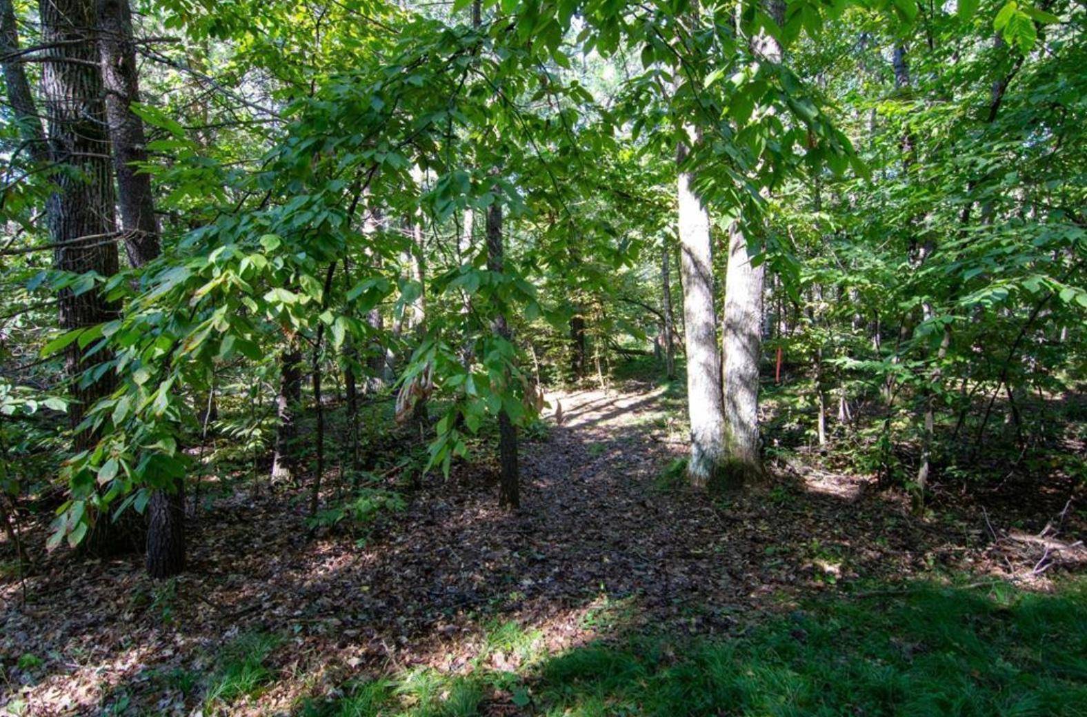 TBD Deacons WAY, Pequot Lakes, MN 56472