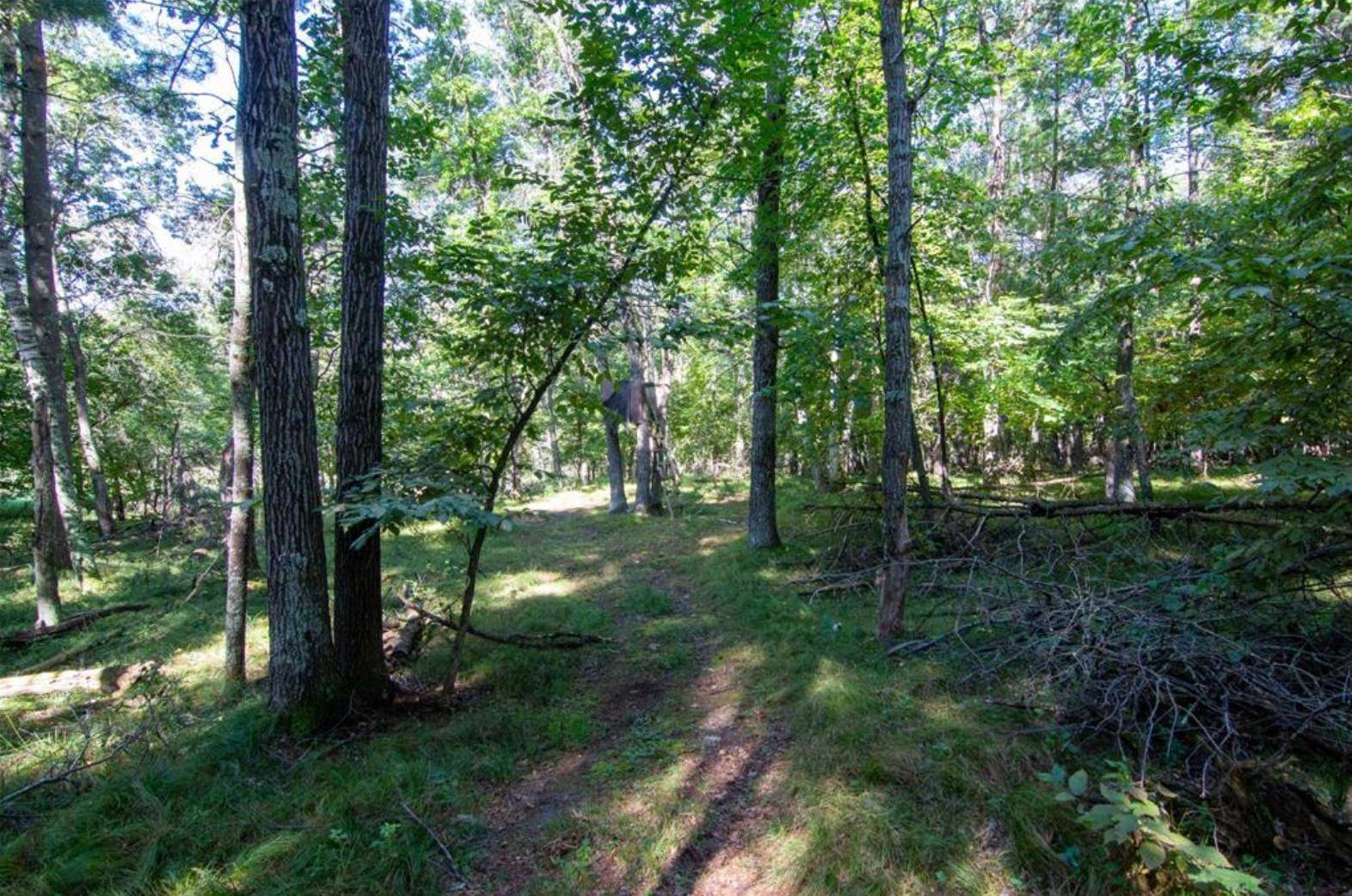 TBD Deacons WAY, Pequot Lakes, MN 56472