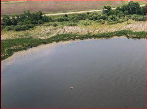 Parcel A Crystal pt. DR, Pelican Rapids, MN 56572