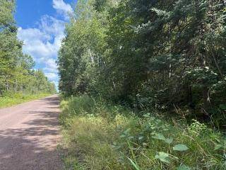 64838 Kingsdale RD, Sandstone, MN 55072