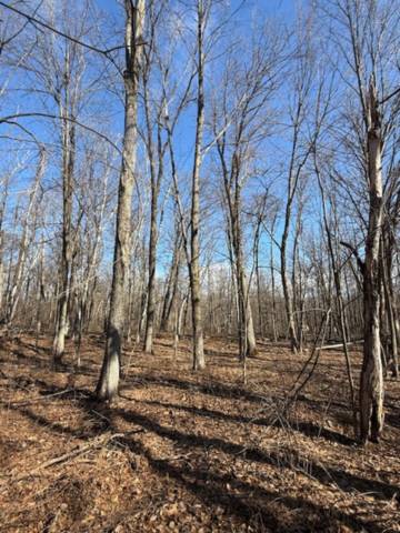 TBD Woodchuck Trail, Cushing, MN 56443
