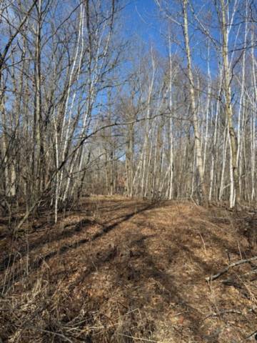 TBD Woodchuck Trail, Cushing, MN 56443