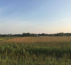 8354 169th AVE NE, Forest Lake, MN 55025
