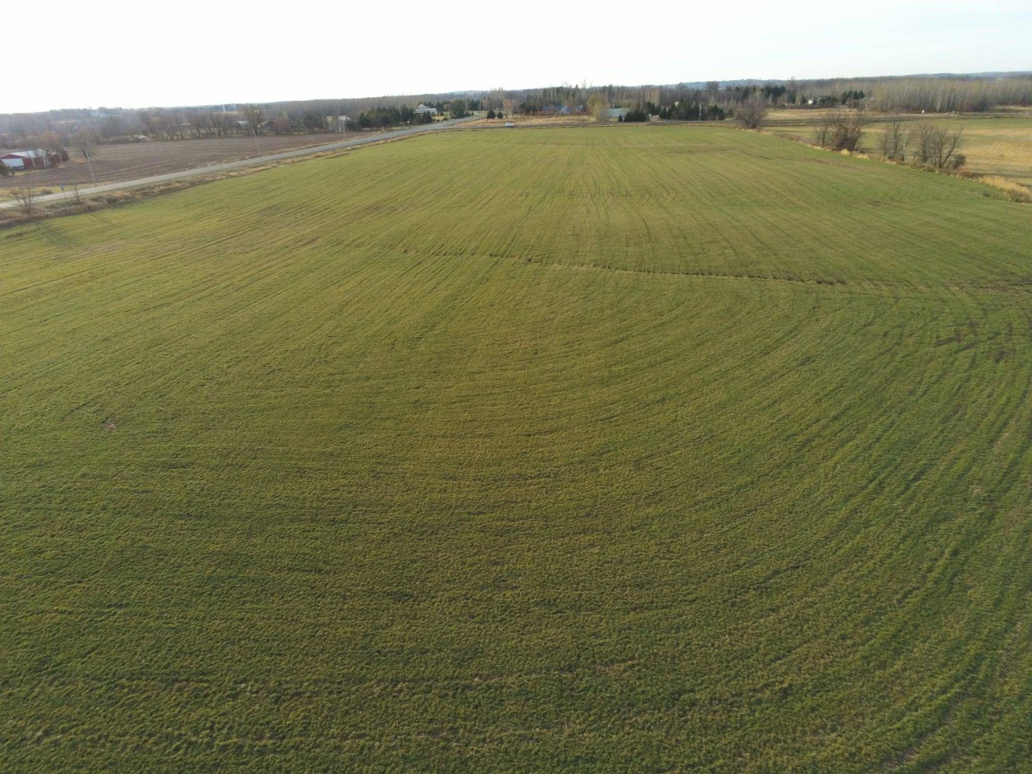 Lot 2 Rush Lake TRL, Braham, MN 55006