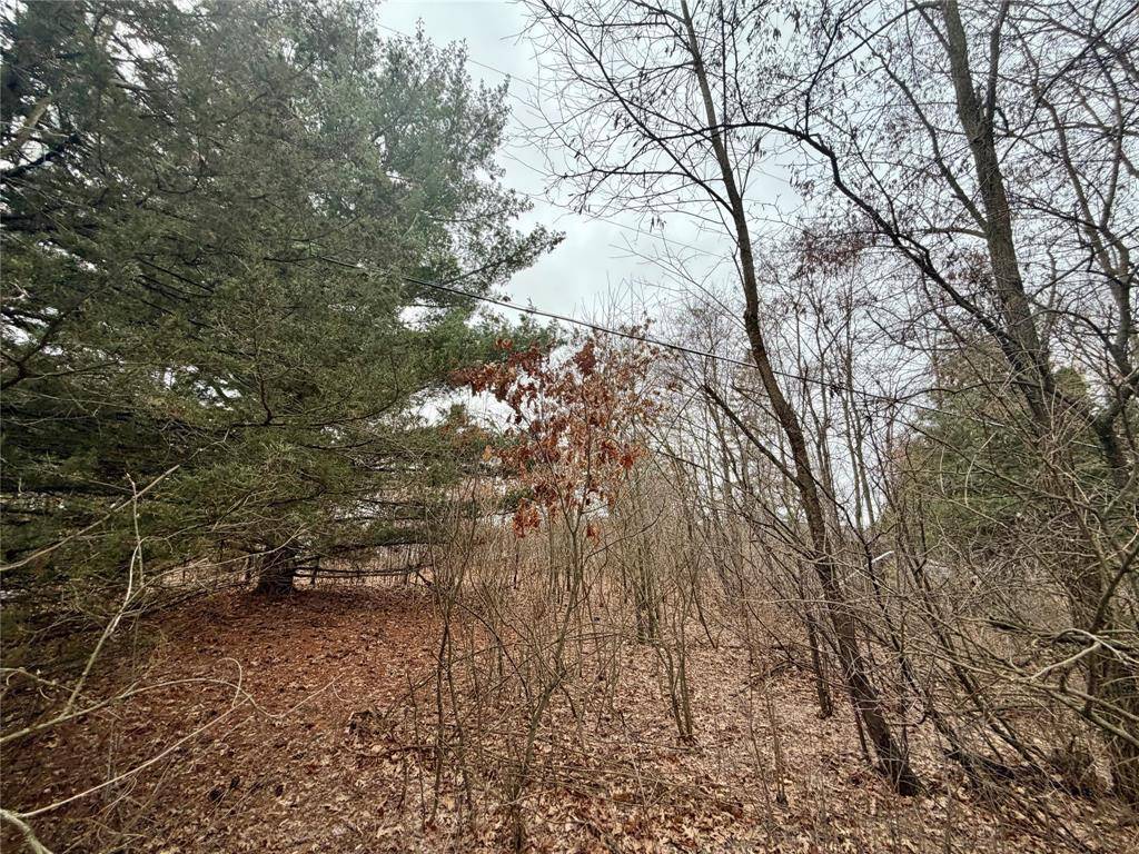 7646 196th ST, Chippewa Falls, WI 54729