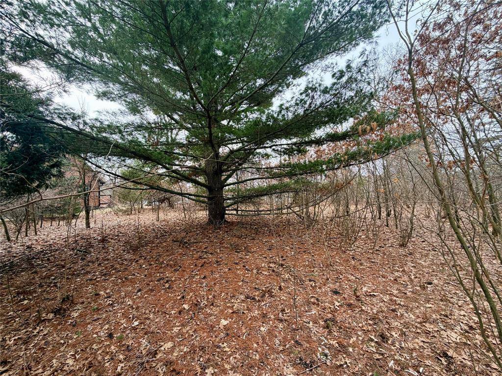 7646 196th ST, Chippewa Falls, WI 54729