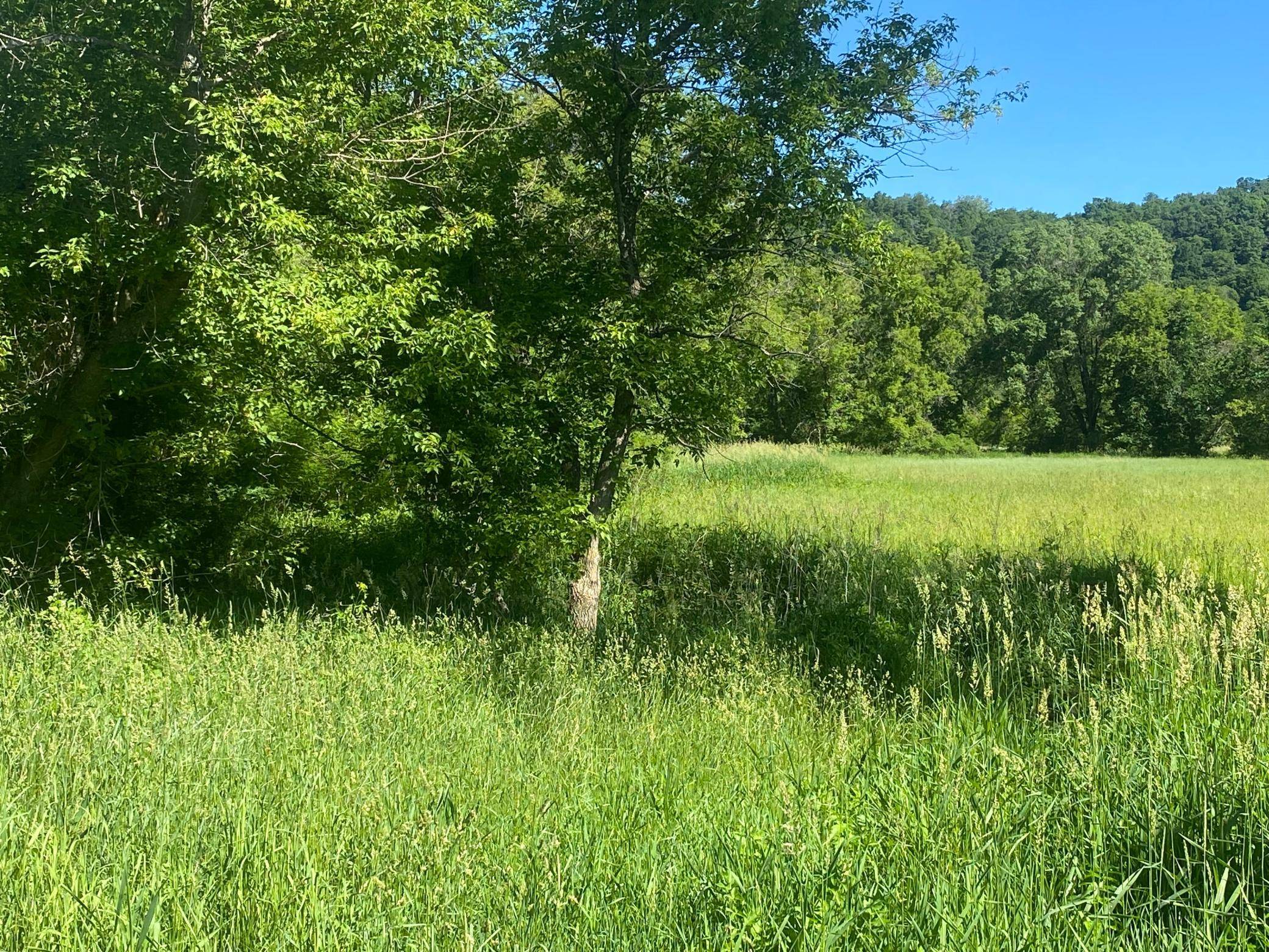 27333 Deep River RD, Lanesboro, MN 55949