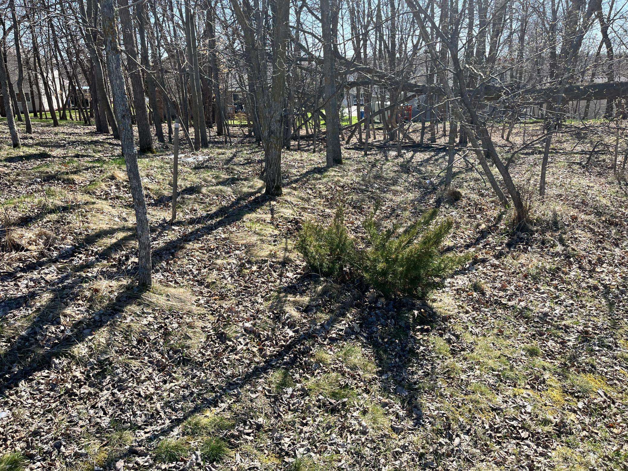 1127 Doris Kohler CIR, Detroit Lakes, MN 56501