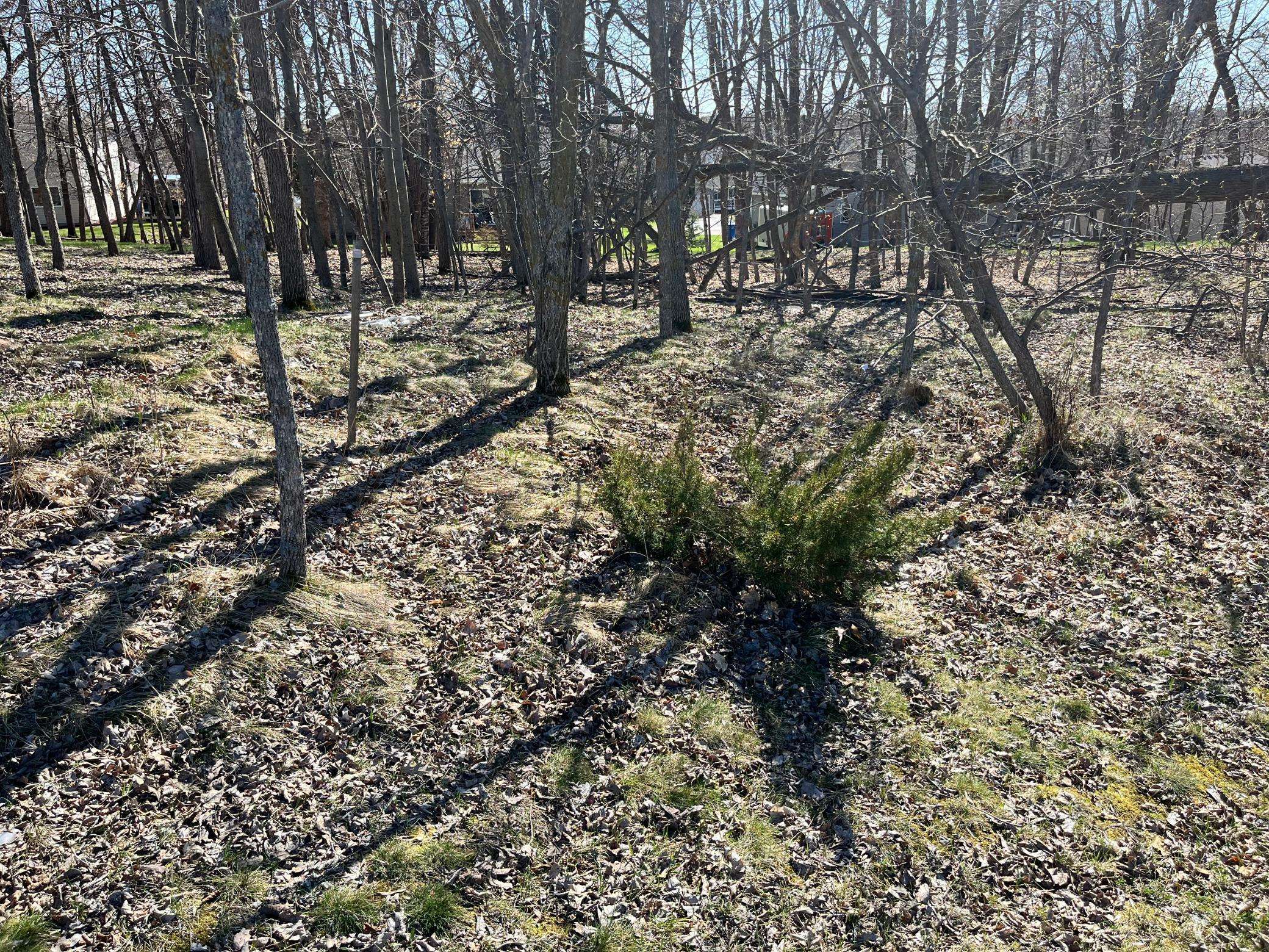 1119 Doris Kohler CIR, Detroit Lakes, MN 56501