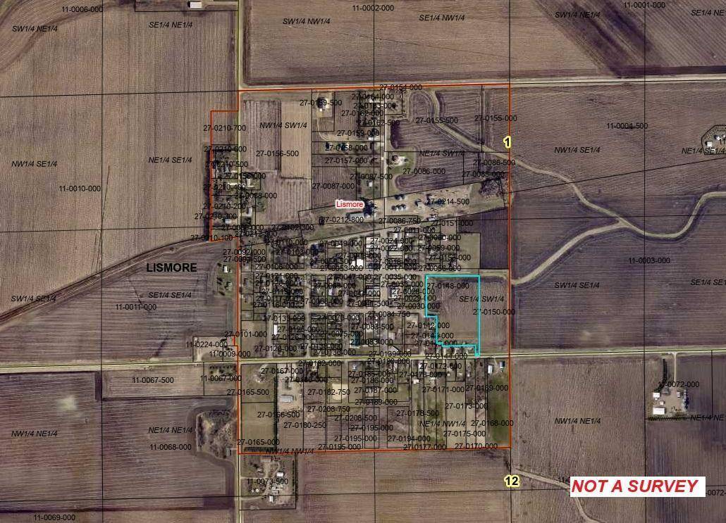 TBD 4TH ST., Lismore, MN 56155