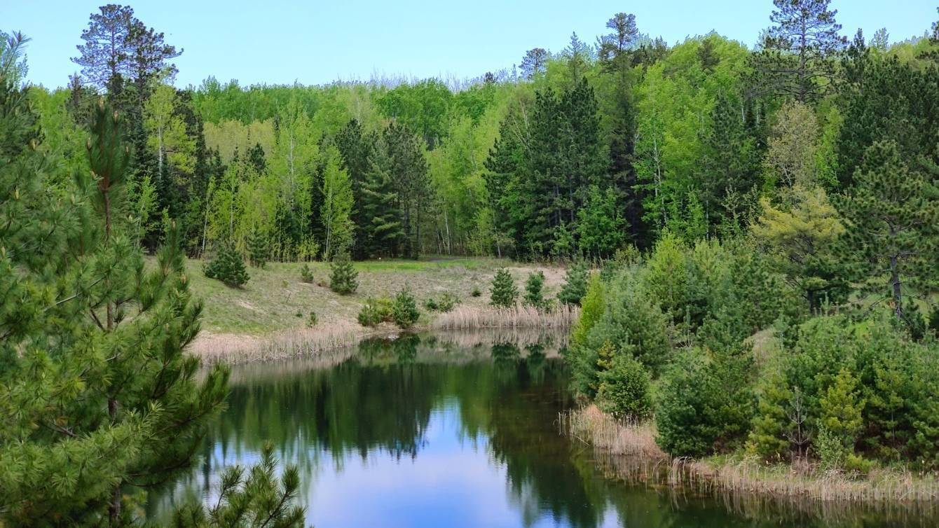 80064 Osprey Pass, Tower, MN 55790
