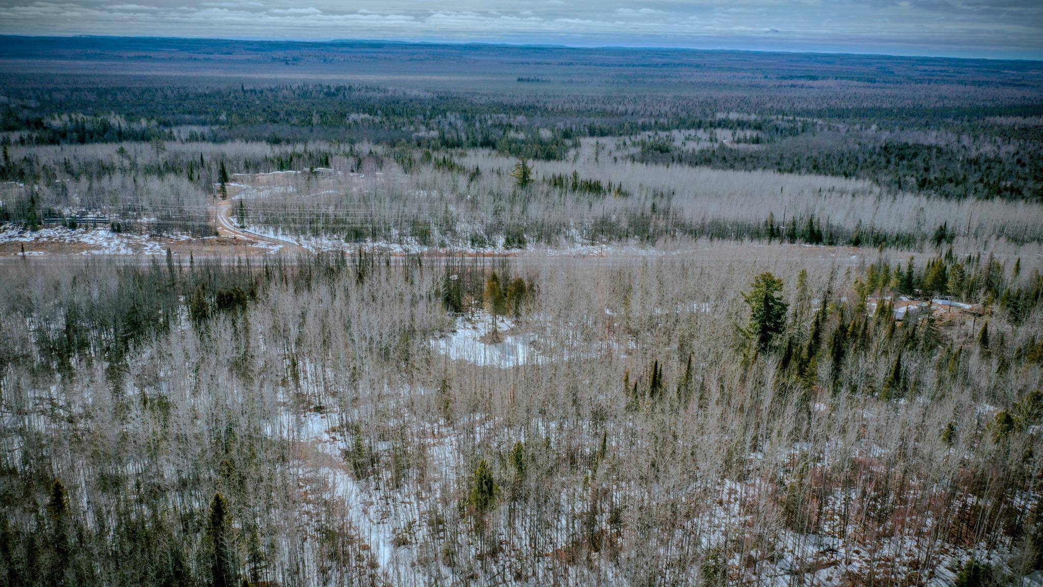 Parcel 12 TBD Hwy 115, Tower, MN 55790