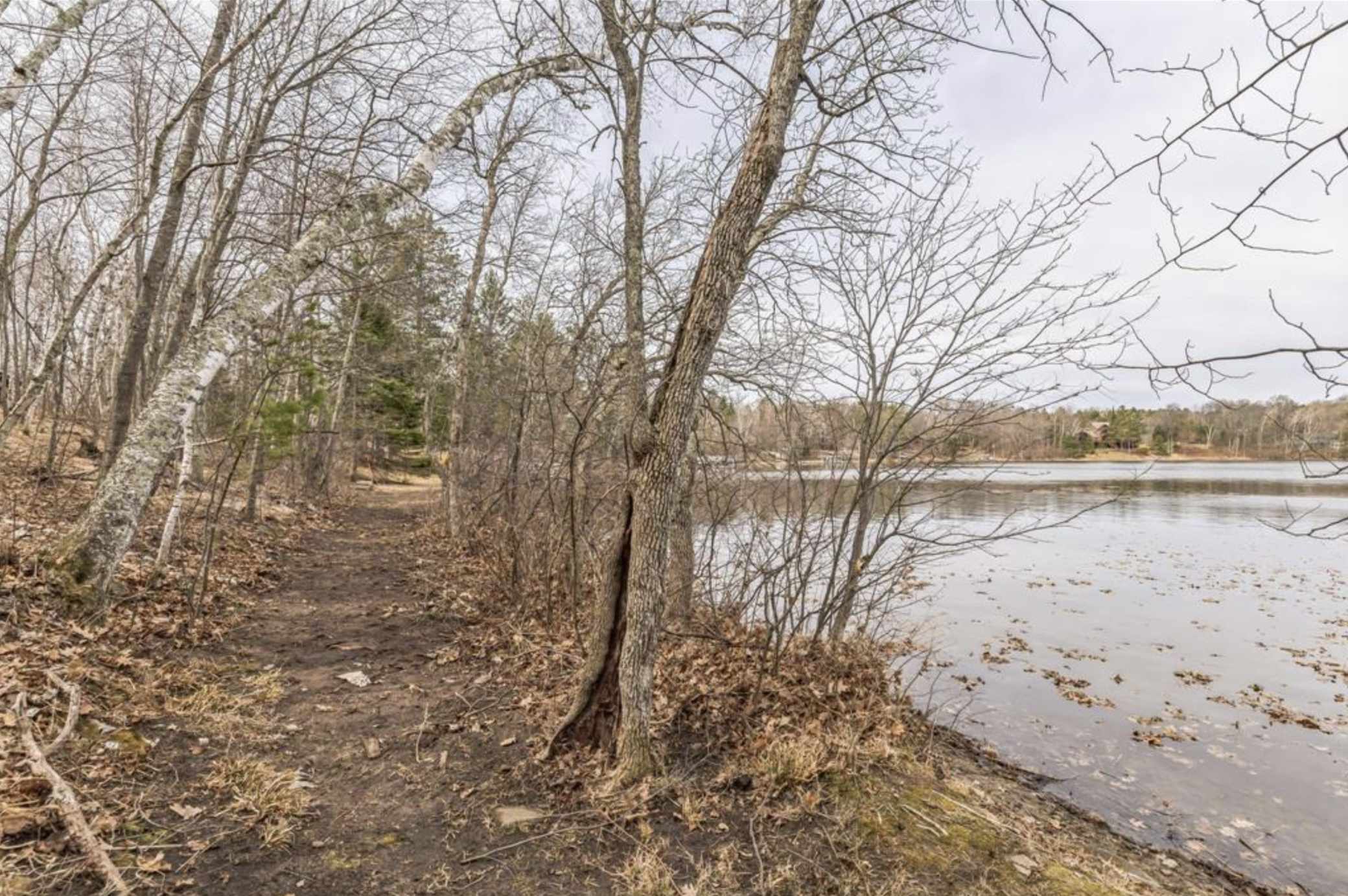 TBD Birch Bay LN NE, Outing, MN 56662
