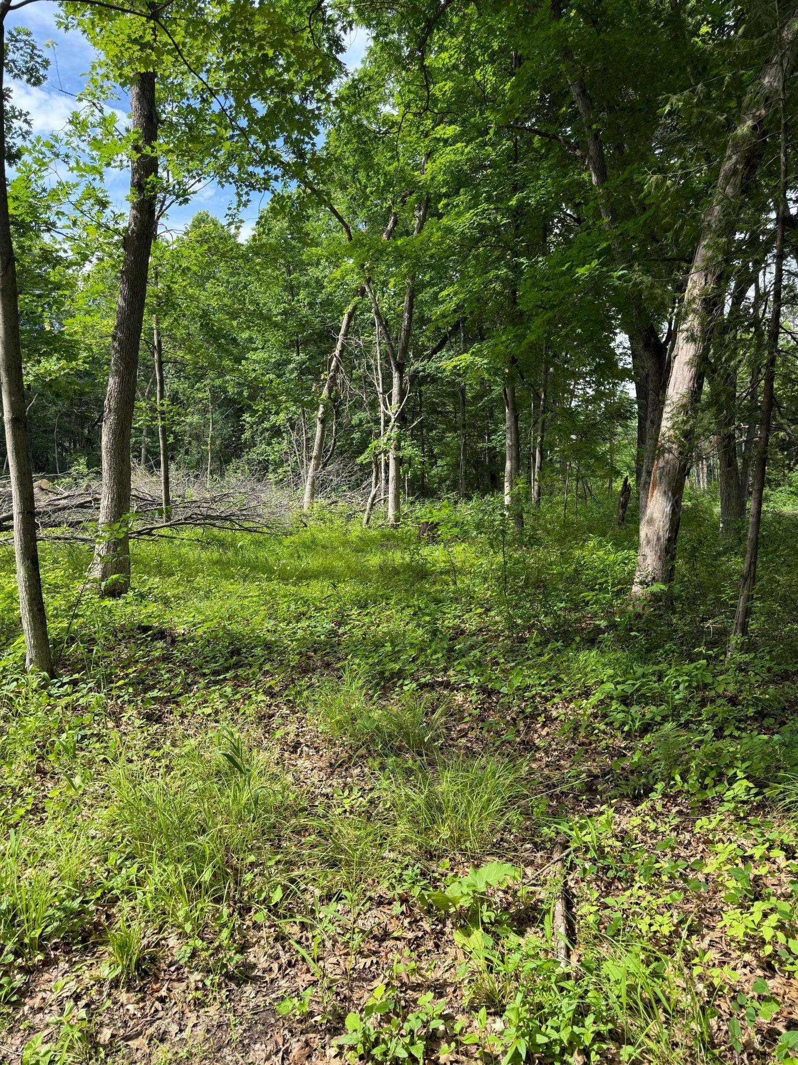 12216 Arcola TRL N, Stillwater, MN 55082