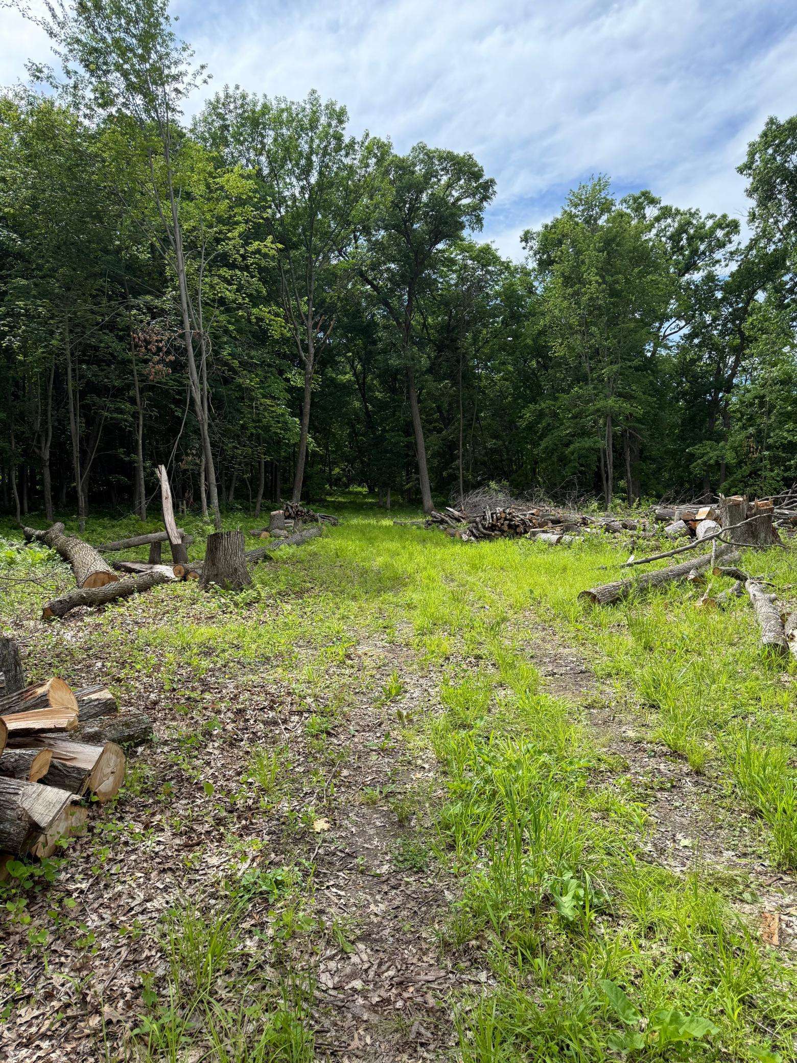 12216 Arcola TRL N, Stillwater, MN 55082