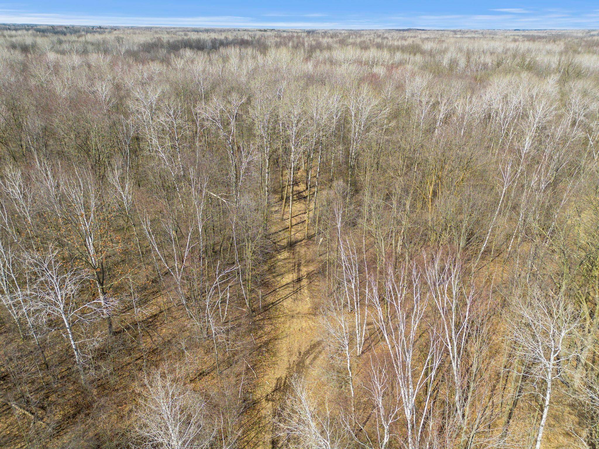 XXX Rice RD, Brook Park, MN 55007