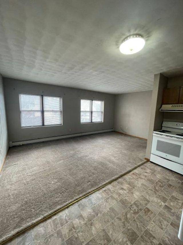 123 N 4th ST, Mankato, MN 56001
