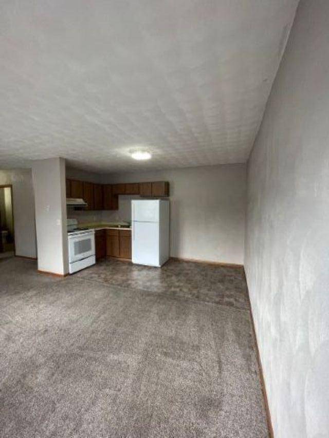 123 N 4th ST, Mankato, MN 56001