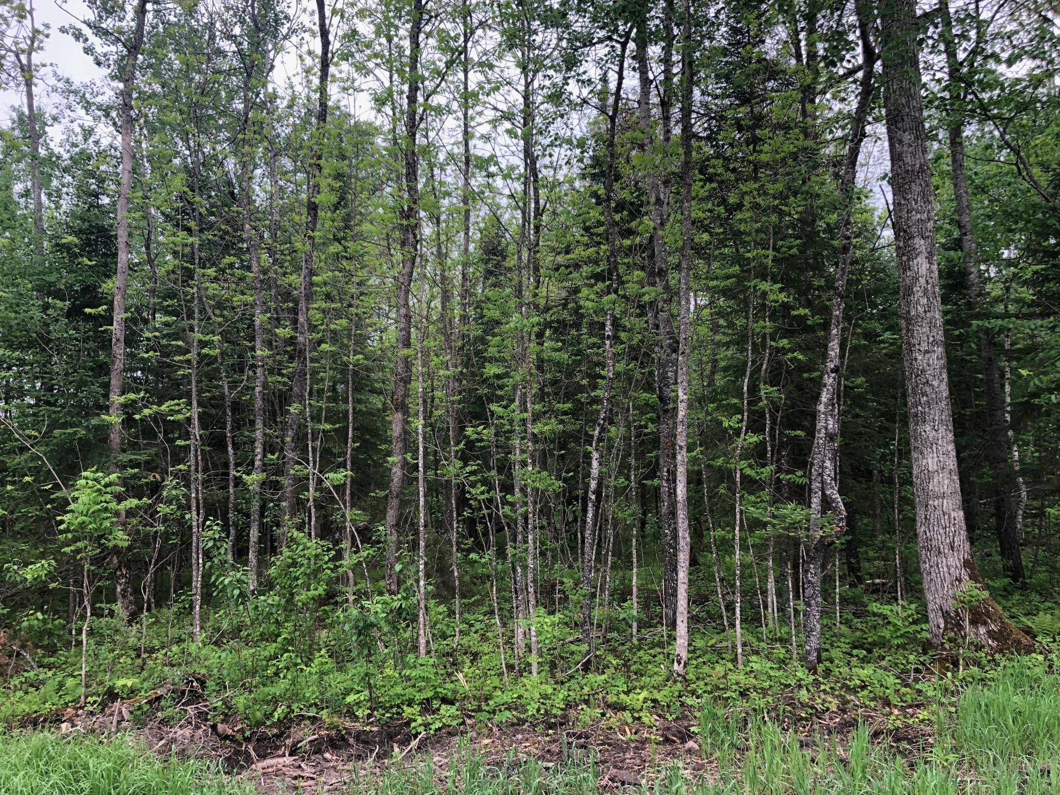 9a Hines Road NE, Hines, MN 56647