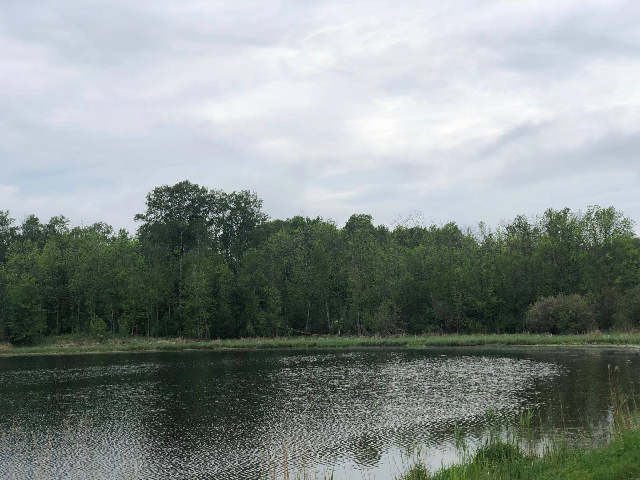 9a Hines Road NE, Hines, MN 56647