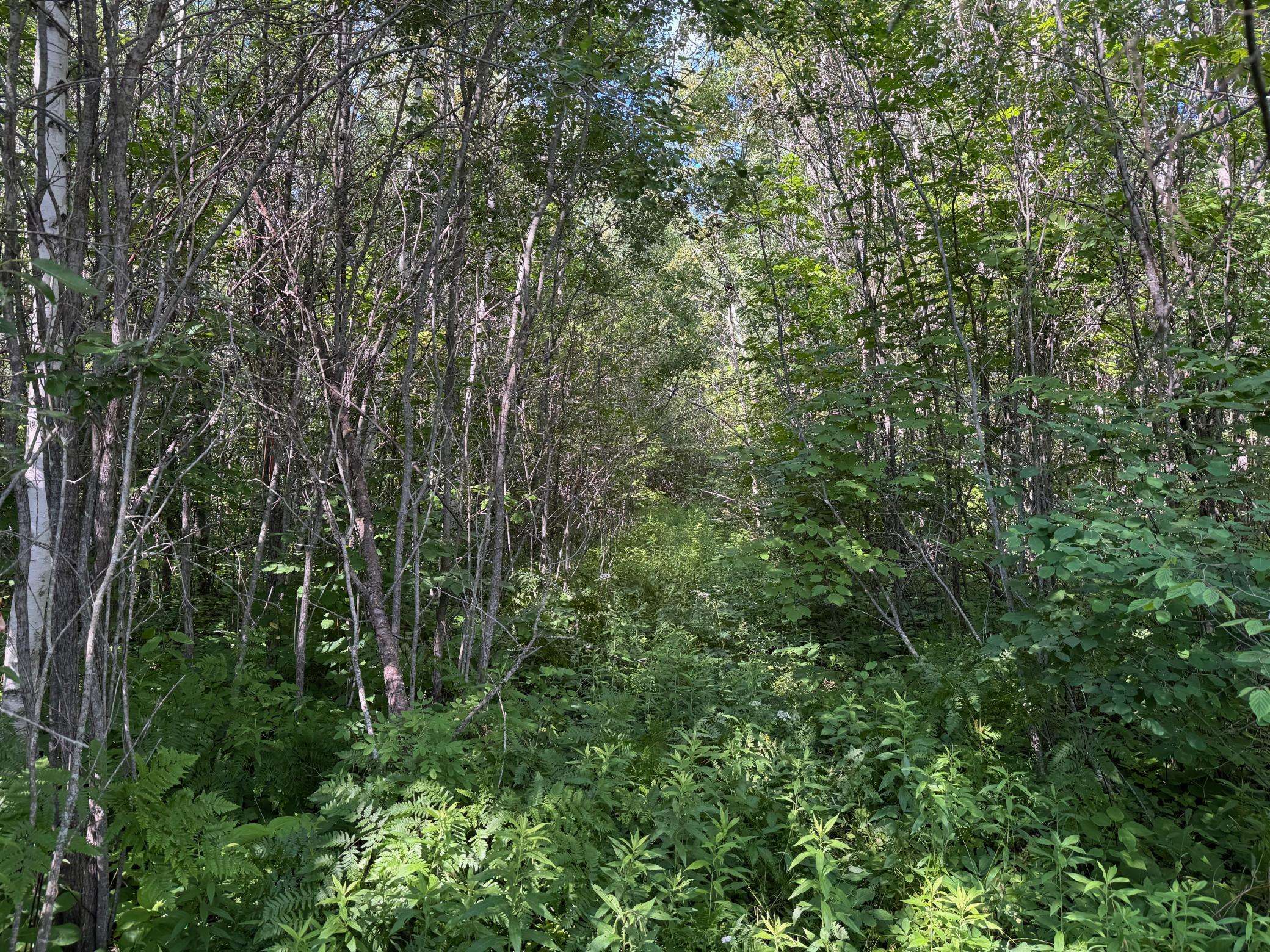 40a Bridgie RD, Northome, MN 56661