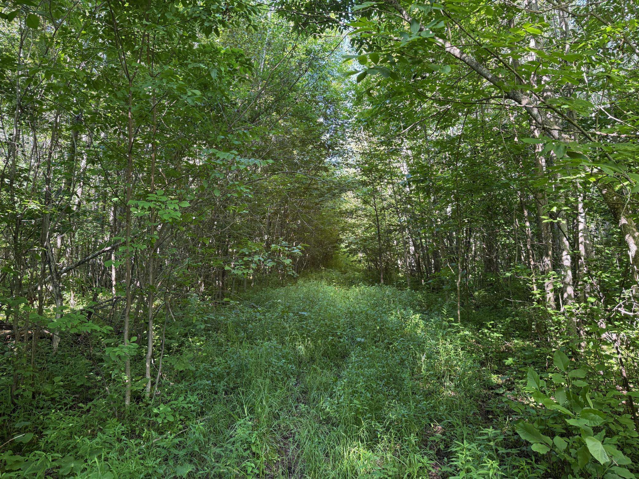 40a Bridgie RD, Northome, MN 56661