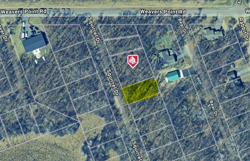 xxx TBD Lot 175 Squirrel DR, Breezy Point, MN 56472