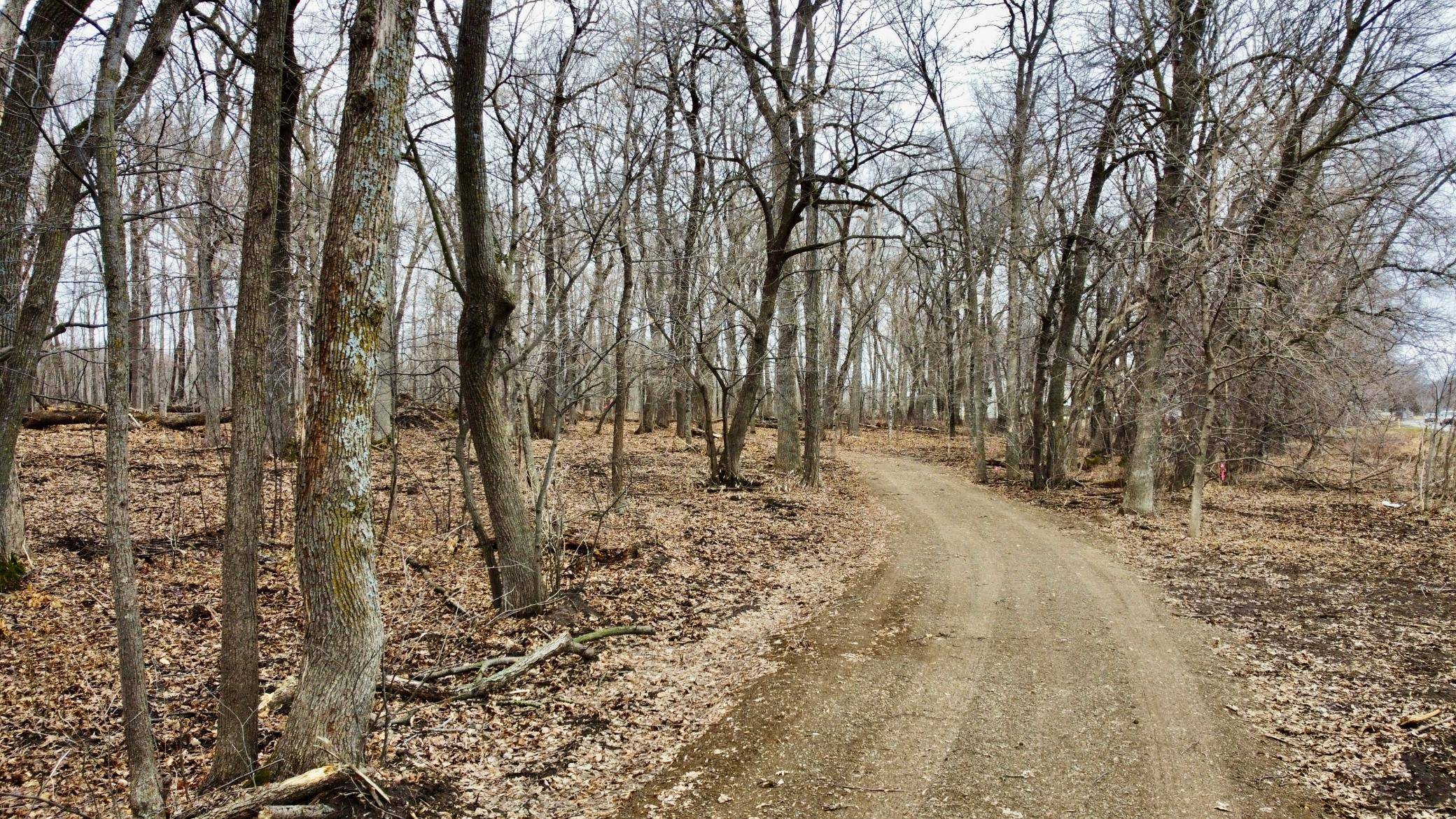 TRACT C Linden ST, Garrison, MN 56450