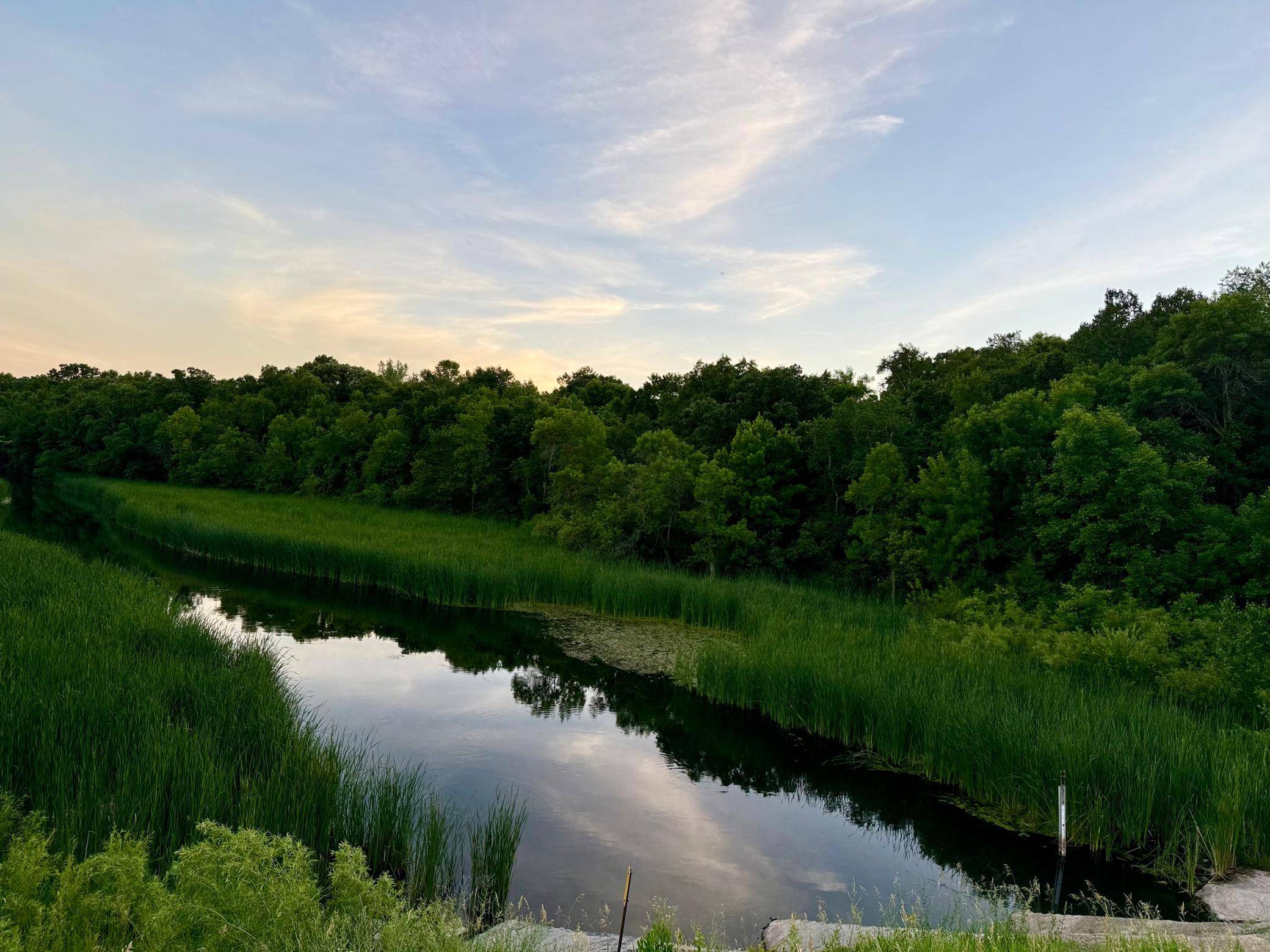 TBD Basswood DR, Sauk Centre, MN 56378