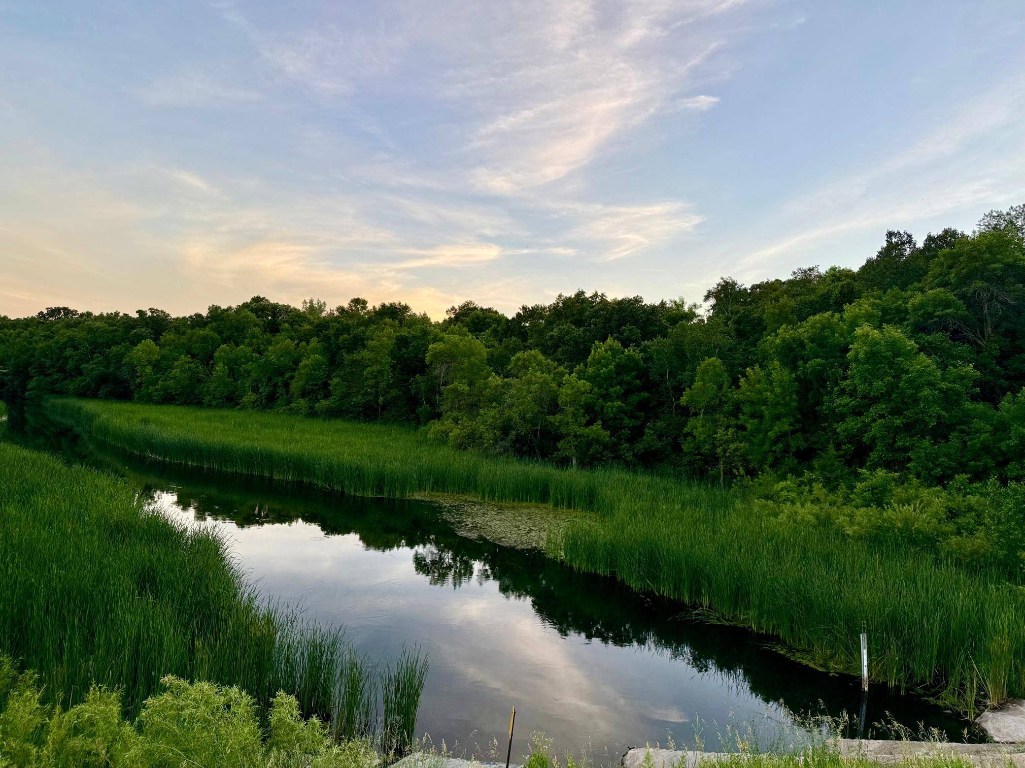 TBD Basswood DR, Sauk Centre, MN 56378
