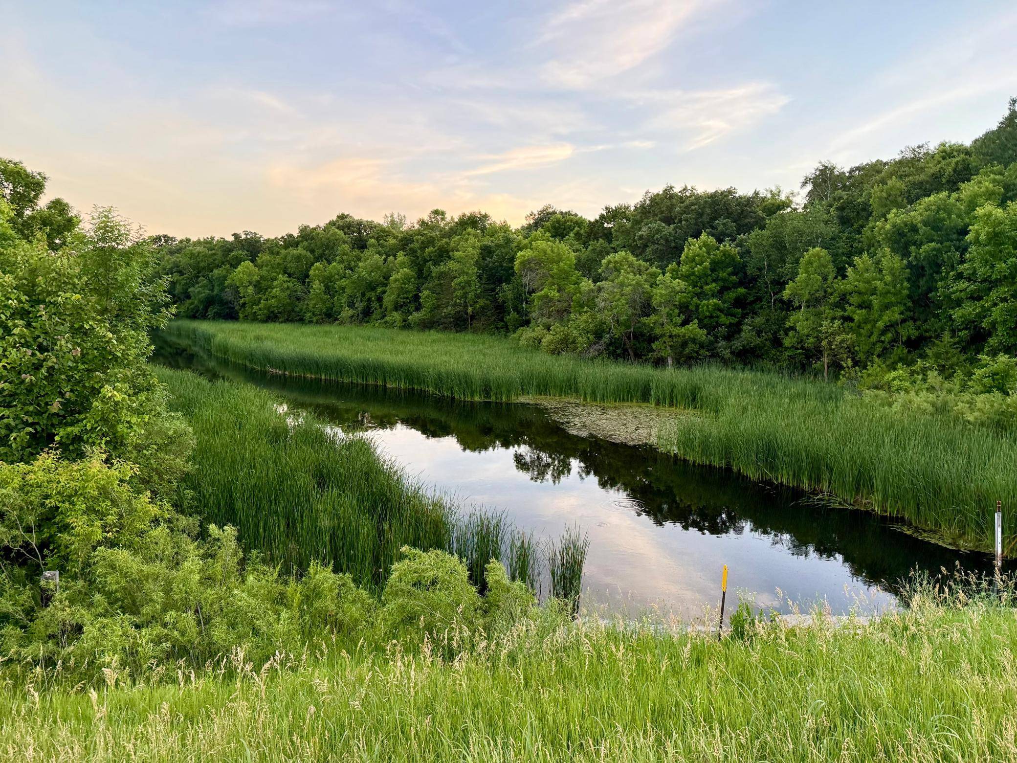 TBD Basswood DR, Sauk Centre, MN 56378