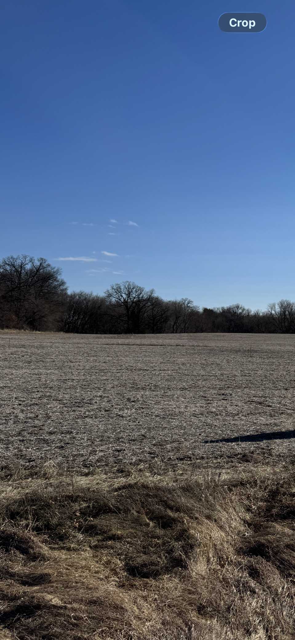 TBD 210th LN NW, Nowthen, MN 55303