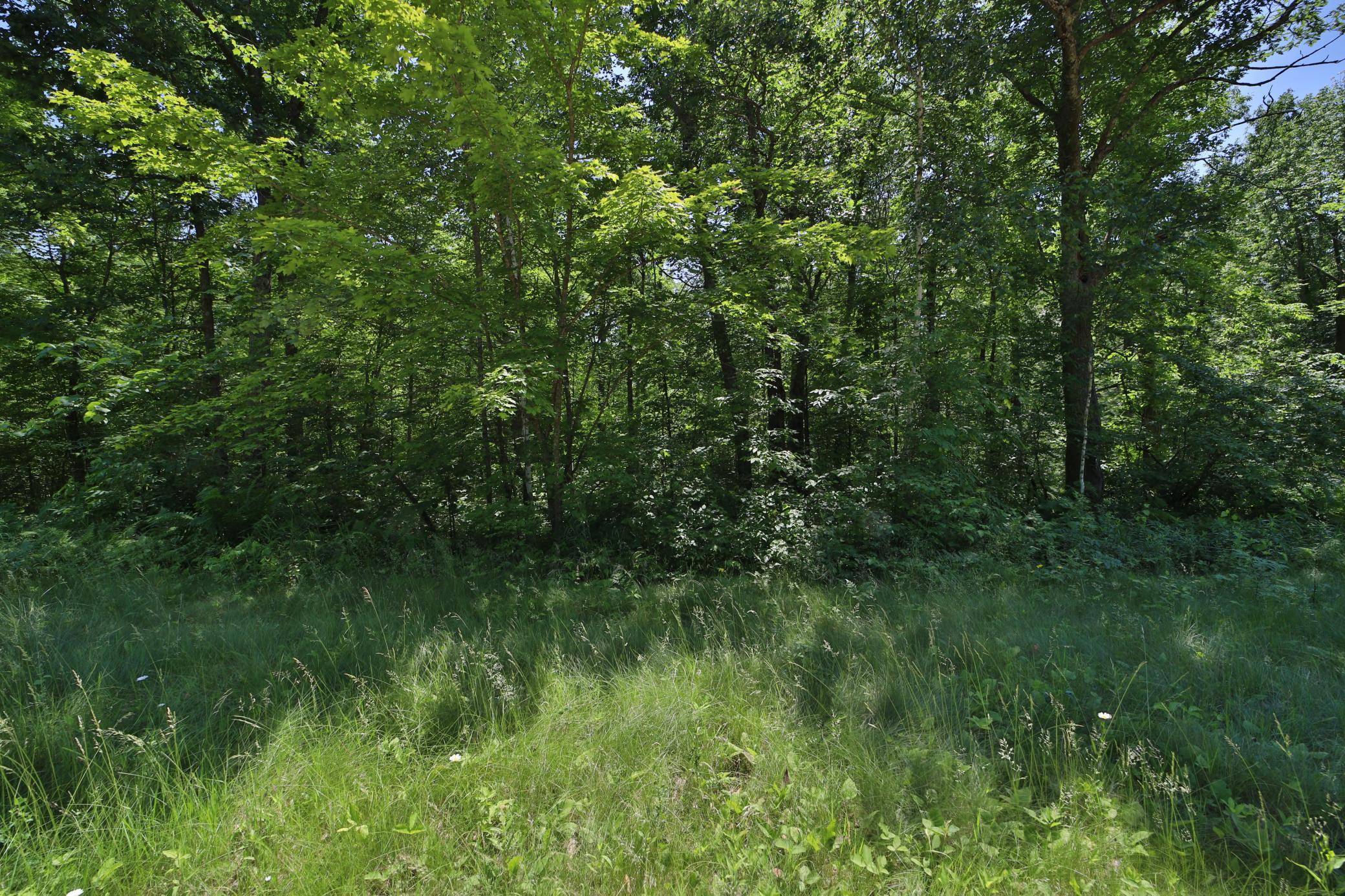 Tract D Olander RD, Crosby, MN 56441