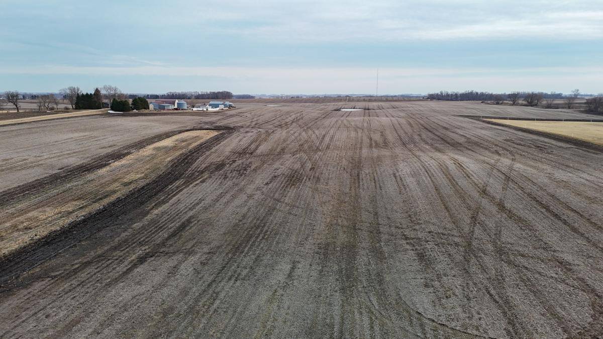 TBD 785th Avenue, Ellendale, MN 56026