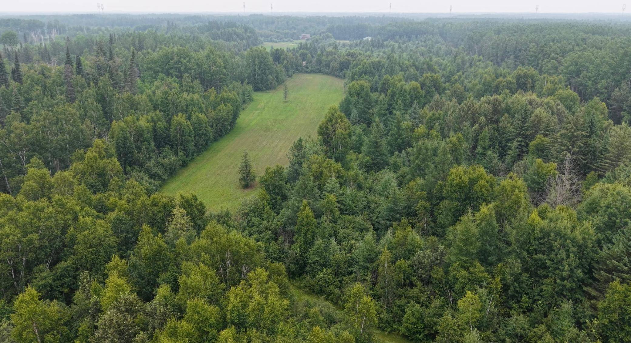 TBD Tangnes Forest RD, Roosevelt, MN 56673