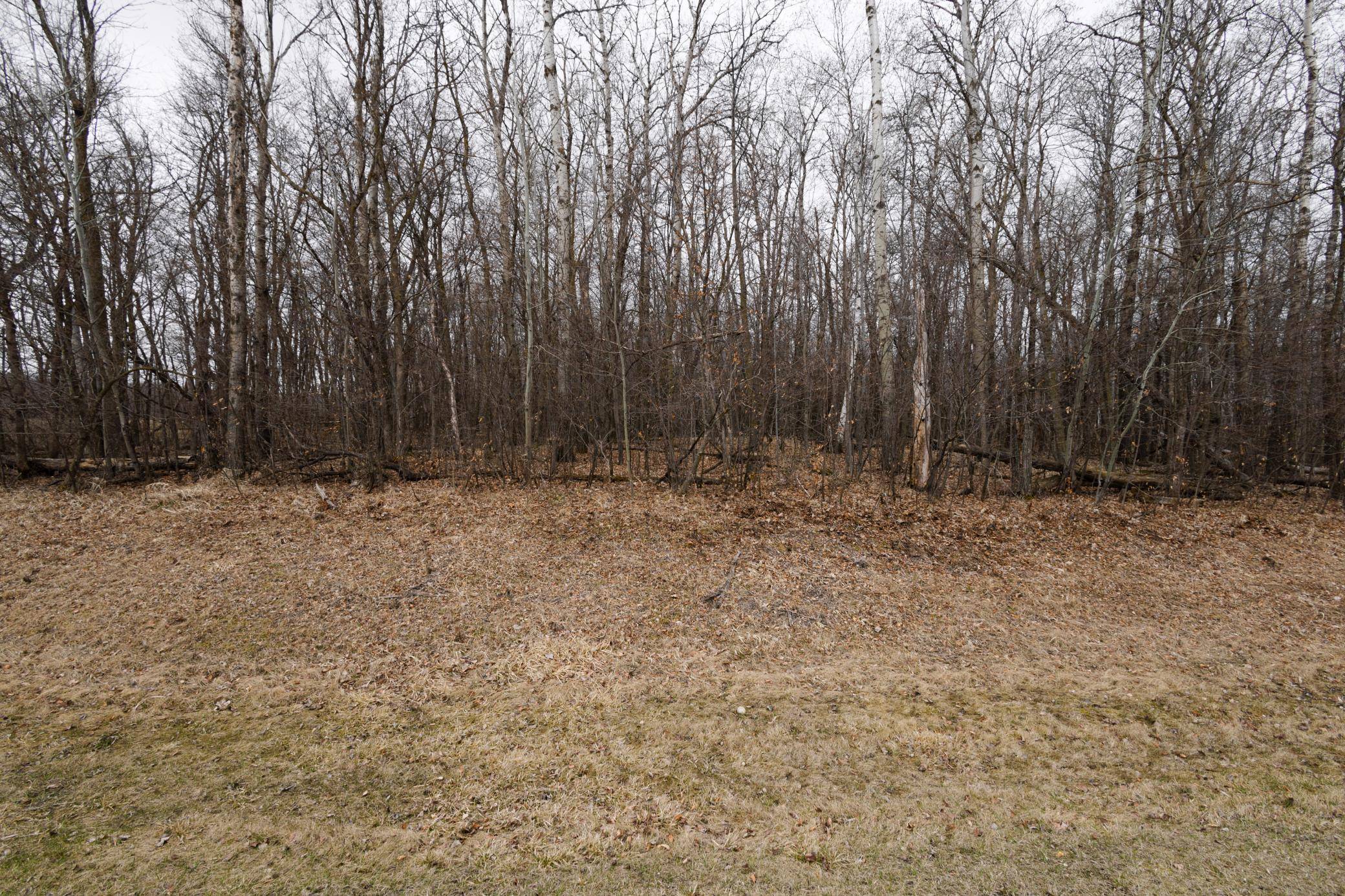 Lot 3 Saylers Beach RD, Lake Park, MN 56554