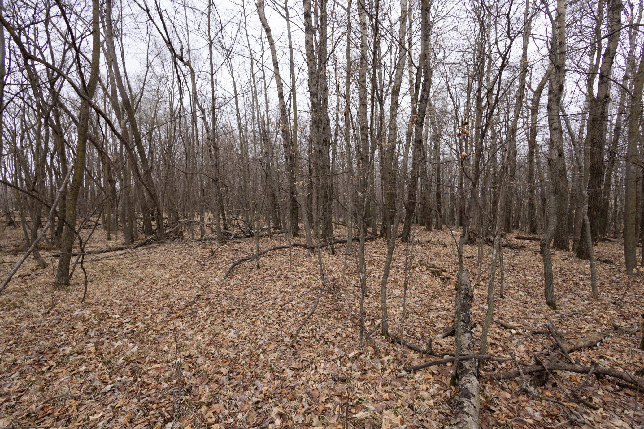 Lot 4 Saylers Beach RD, Lake Park, MN 56554