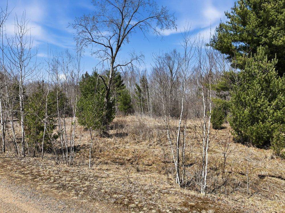 Lot 13 10 1/4 Avenue, Chetek, WI 54728