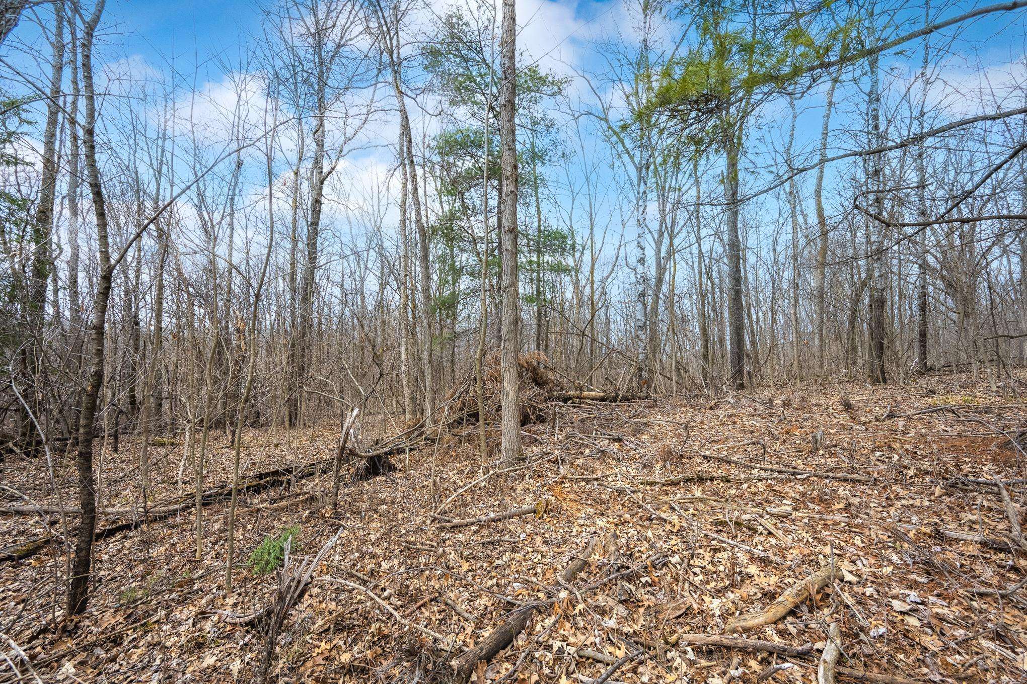 TBD Hwy 46, Balsam Lake, WI 54810