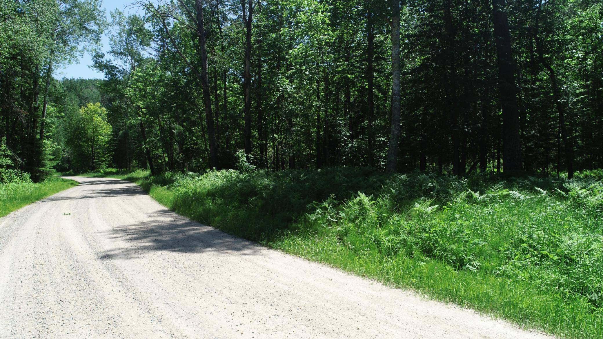 TBD Rush Island Lake Road, Deer River, MN 56636