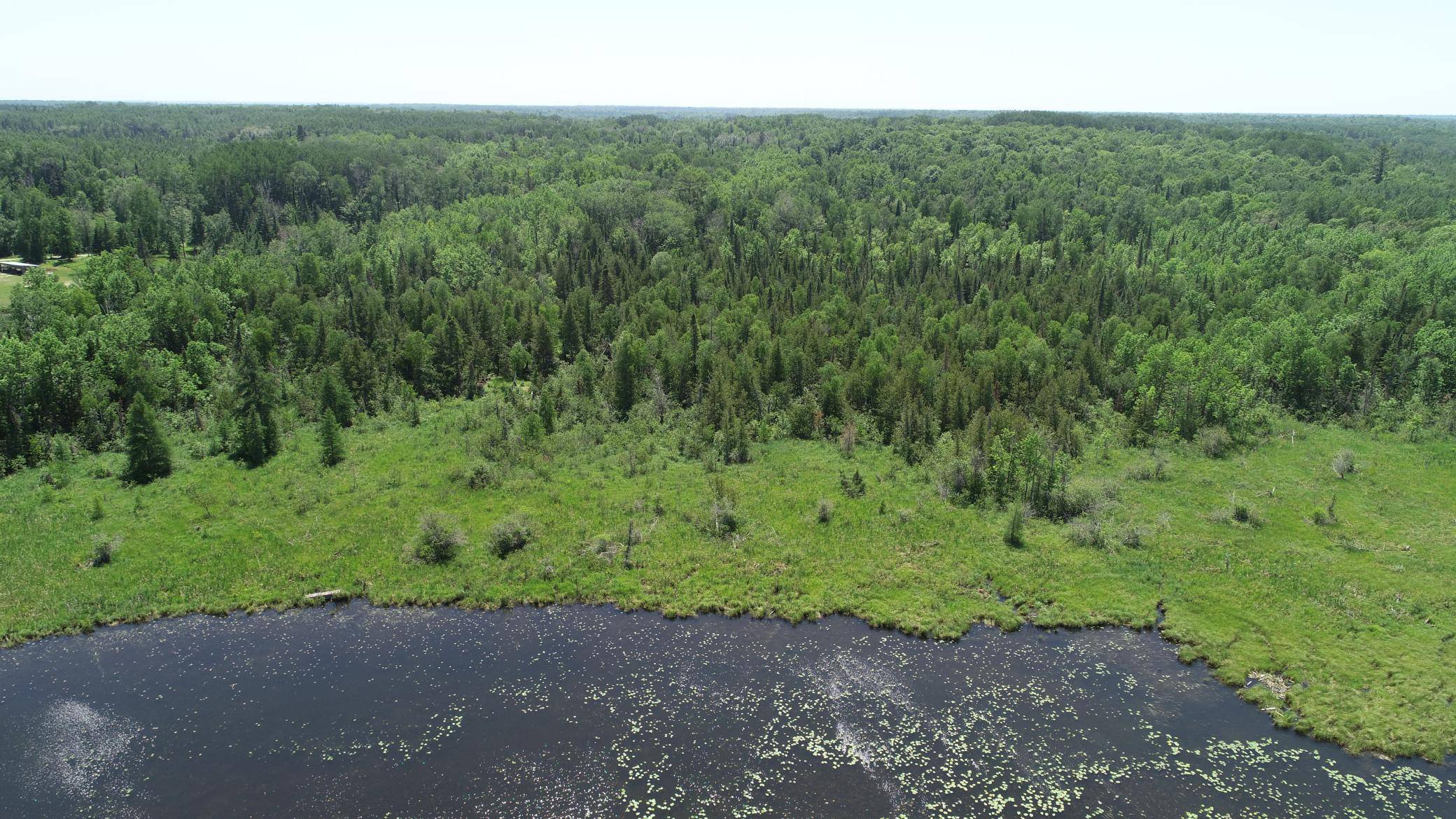 TBD Rush Island Lake Road, Deer River, MN 56636