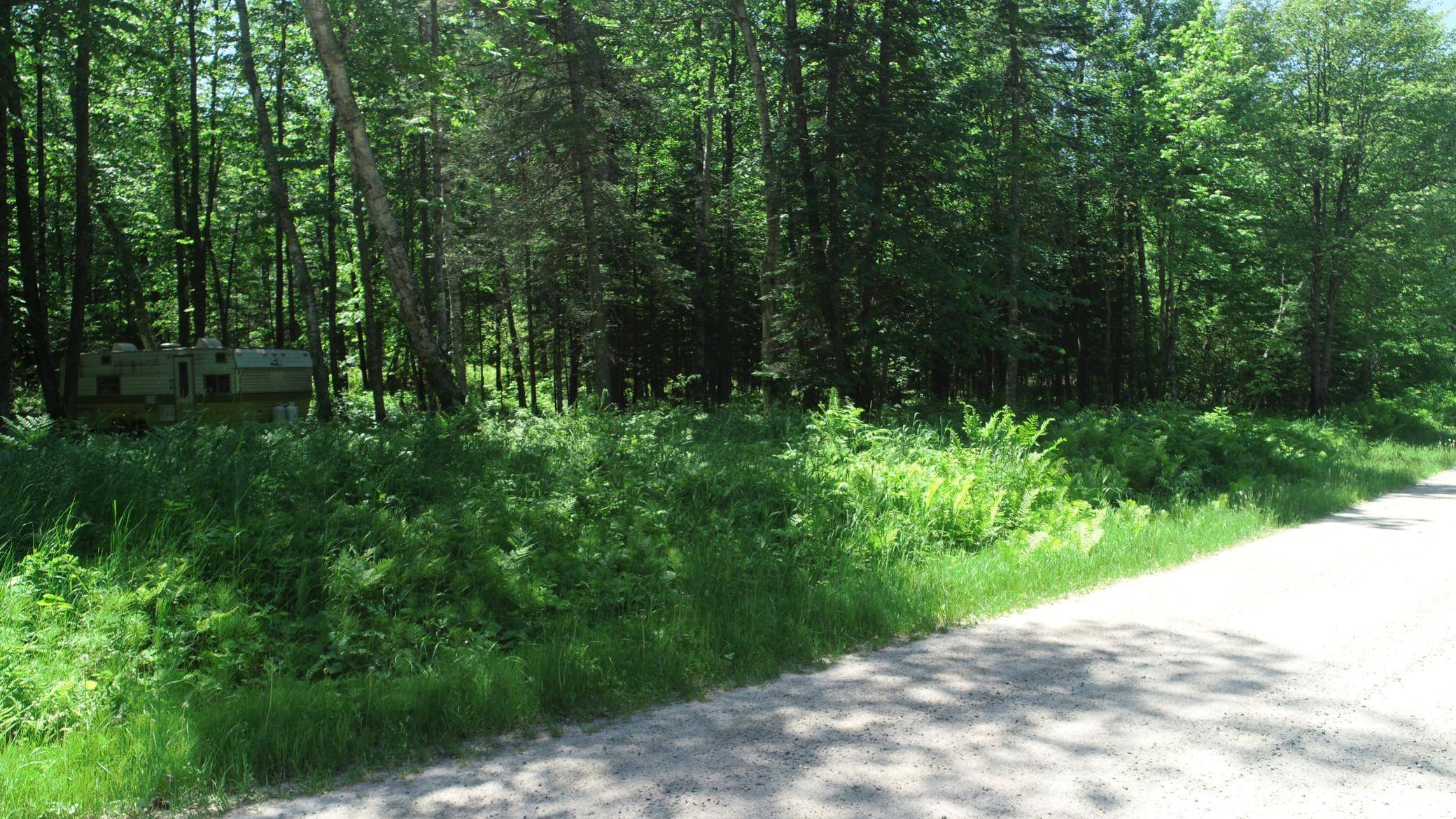 TBD Rush Island Lake Road, Deer River, MN 56636