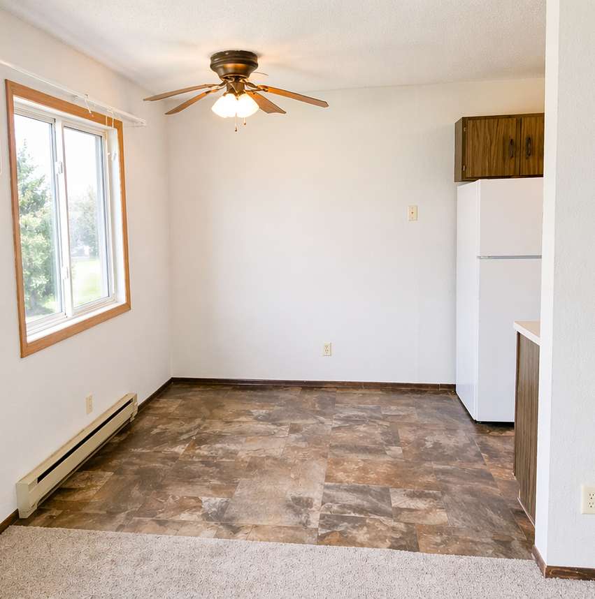 320 1st ST ##4, Clinton, MN 56225