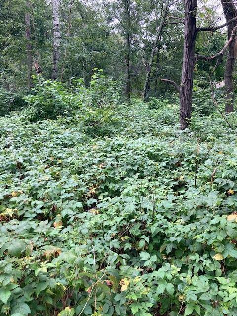 Lot 39 & 40 Owl CIR, Breezy Point, MN 56472