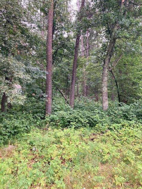 Lot 39 & 40 Owl CIR, Breezy Point, MN 56472