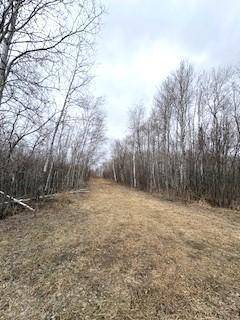 TBD 450th ST, Palisade, MN 56469