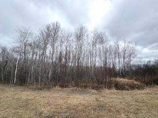 TBD 450th ST, Palisade, MN 56469